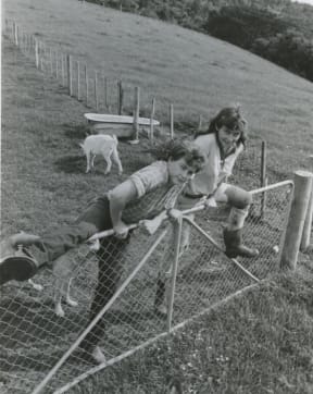 Rural radicals at Te Henga (Bethells Beach), early 1980s