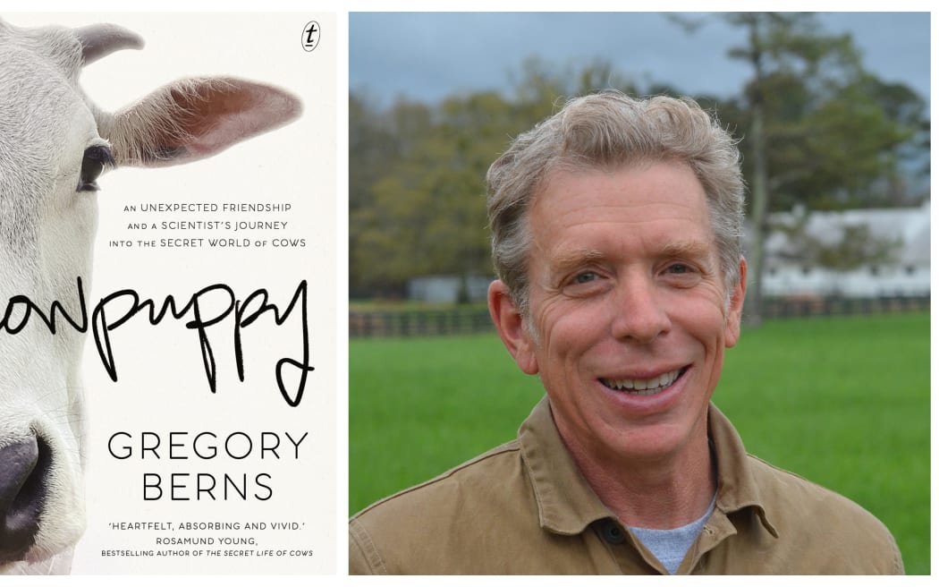 Gregory Berns' book Cowpuppy tells the story of his journey into the secret world of cows.