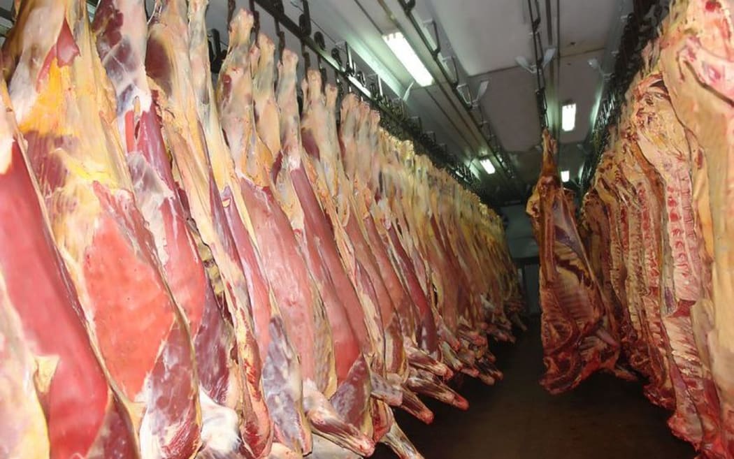 Beef carcasses