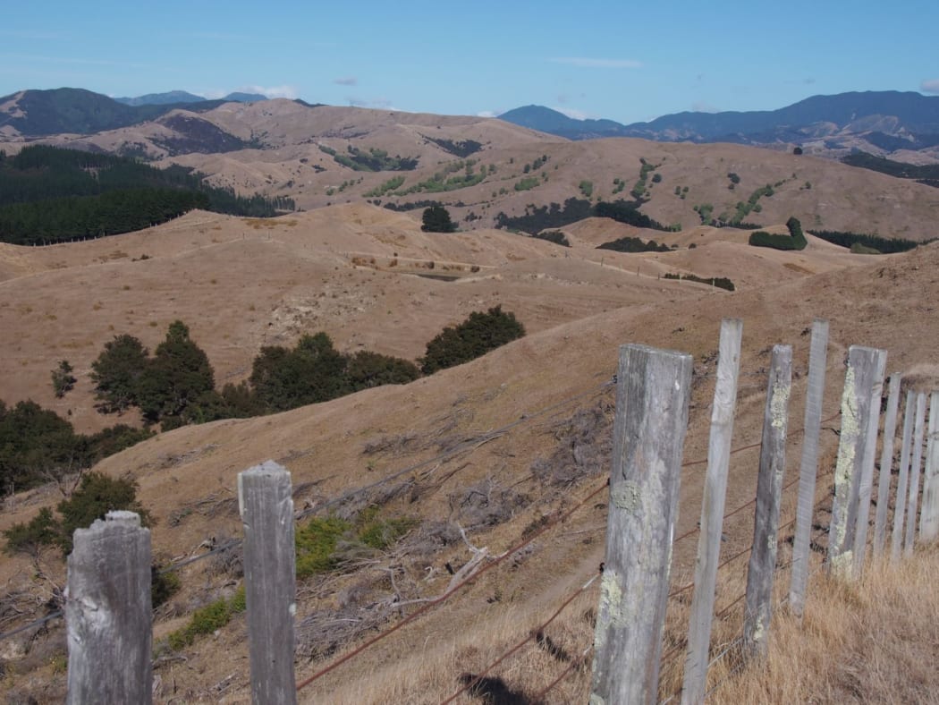Dry Wairarapa hills