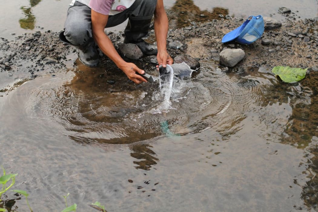 A banana worker washes his machete in a river running through the plantation. Workers worry chemical runoff contaminates the water supply.