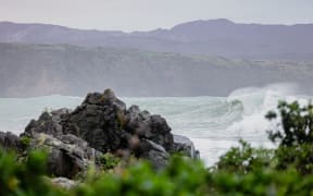 Wellington weather