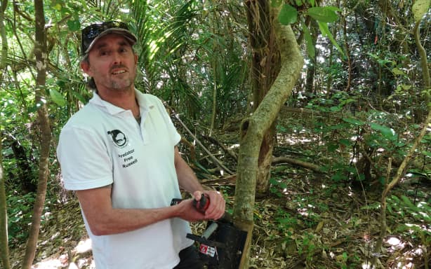 Russell on the cusp of becoming first mainland town to achieve pest ...