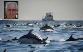 Dennis Buurman - Kaikoura Encounters