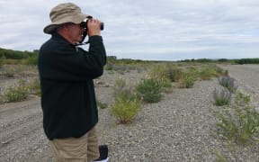 Nick Ledgard searches for birds along the Ashley River.