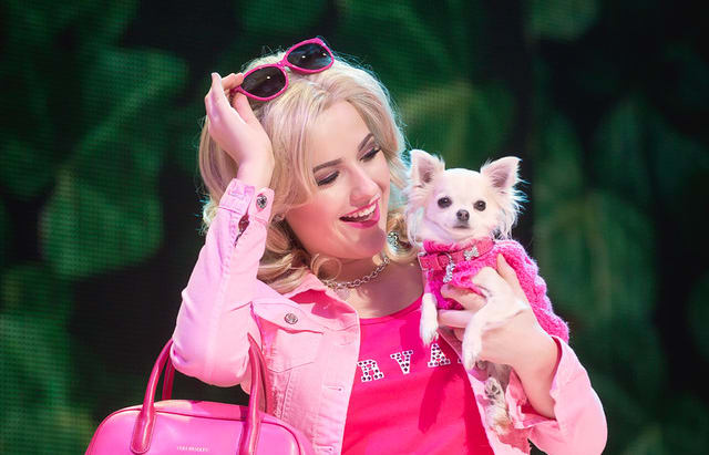 Ellie Neal as Elle Woods in Legally Blonde