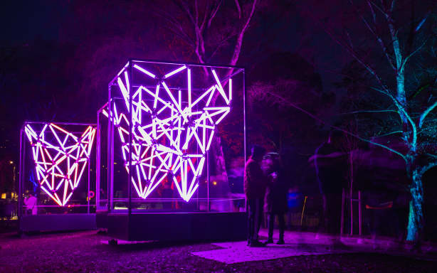 'We're talking about a lot of light' - Nelson festival celebrates ...