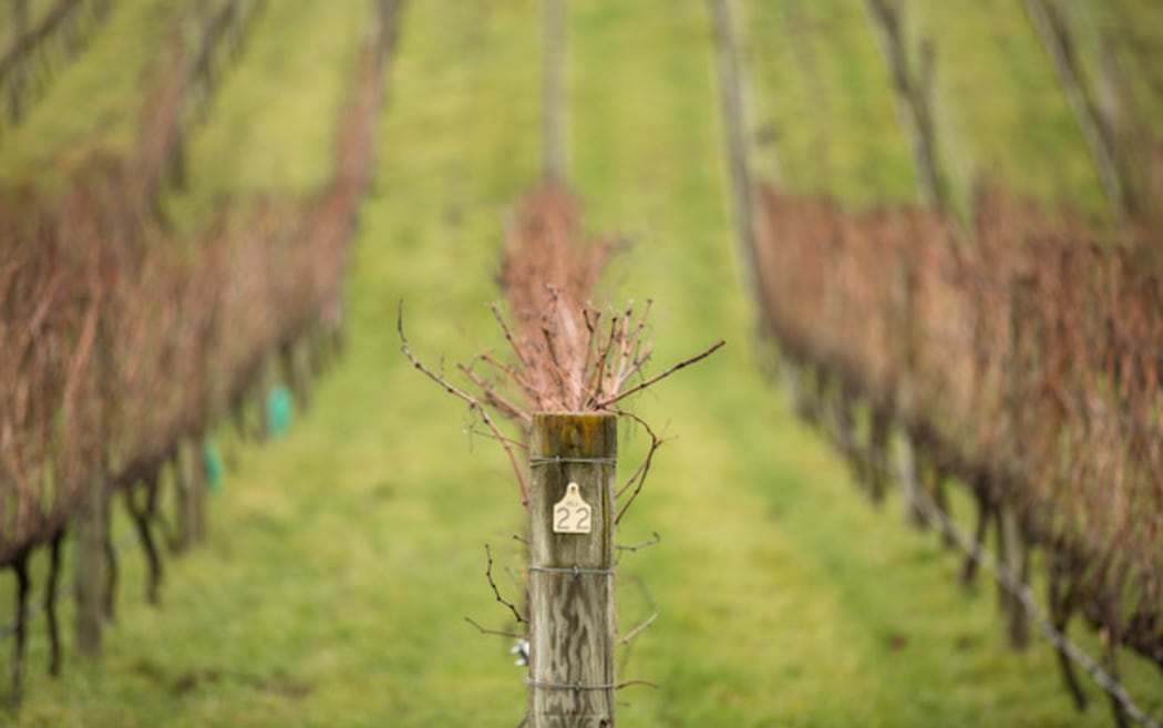 Joelle Thompson talks wine