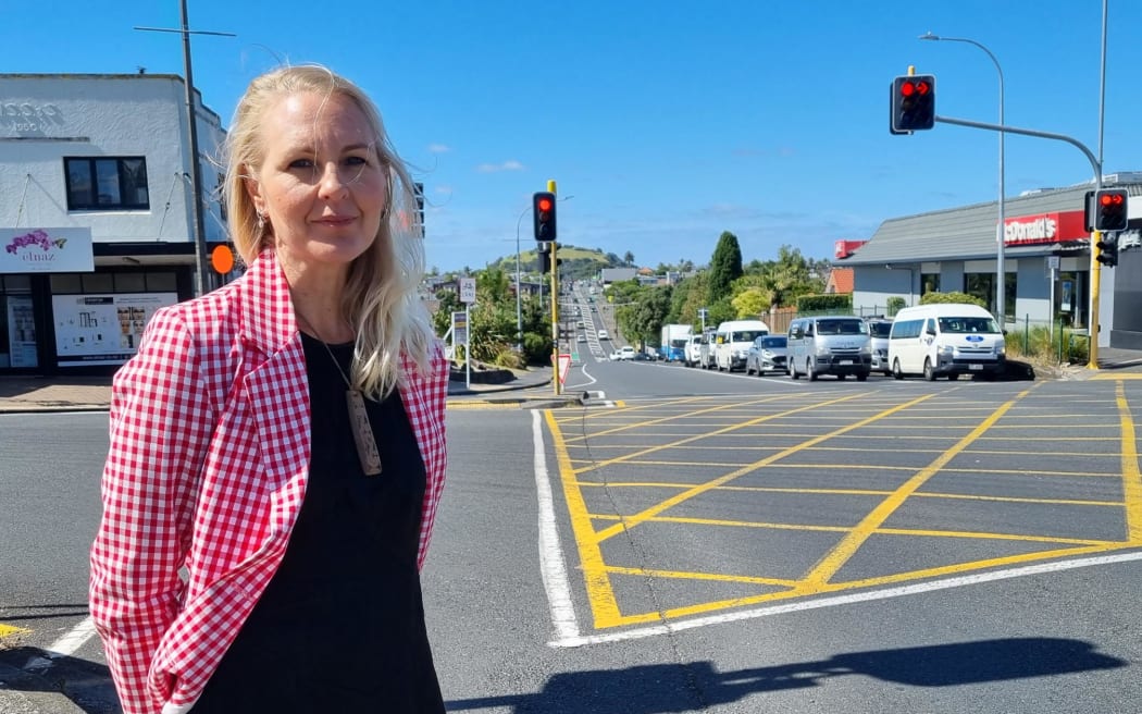 Devonport Takapuna Local Board chair Toni van Tonder