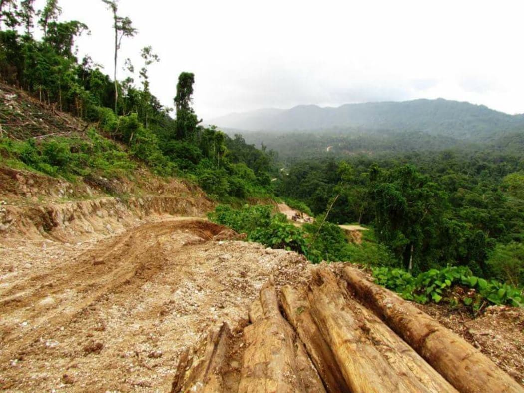 Logging tracks run like scars across the face of a tropical rainforest on Malaita in Solomon Islands.