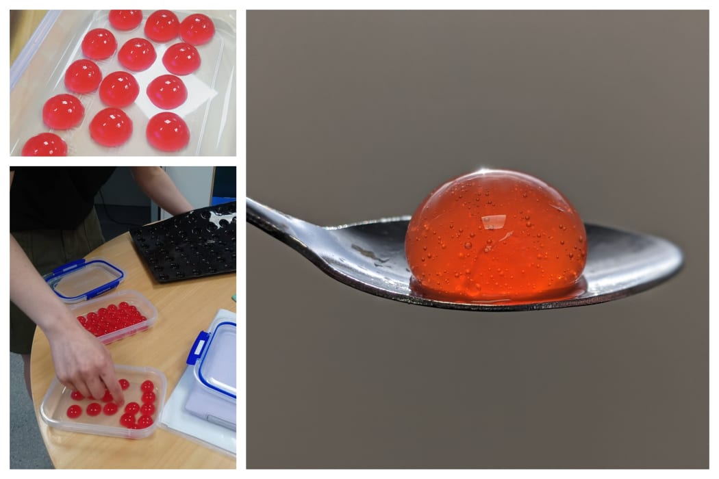 food sample used in the research