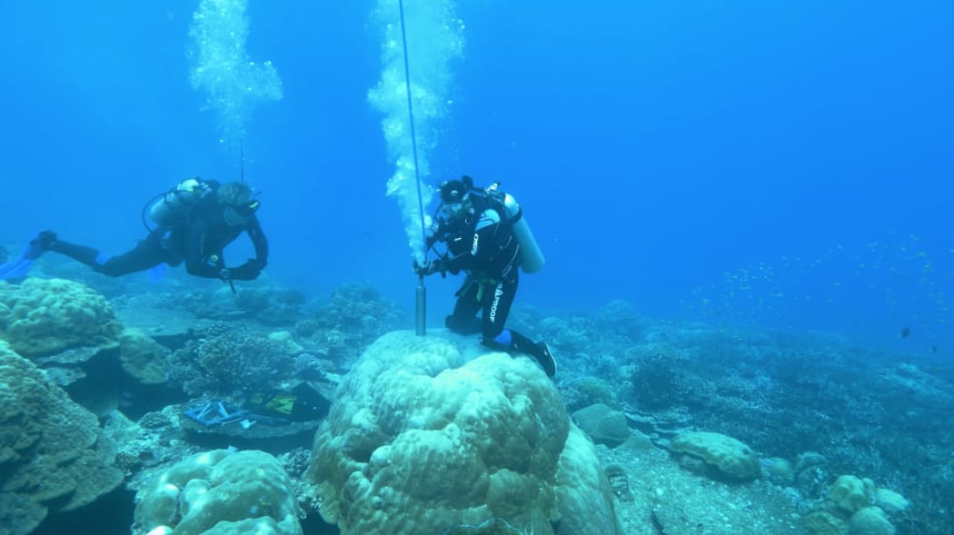 Researchers dive down to corals to extract coral cores that will give us information about Earth's past climate.
