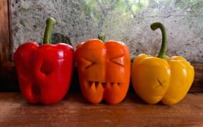 The Family Capsicum