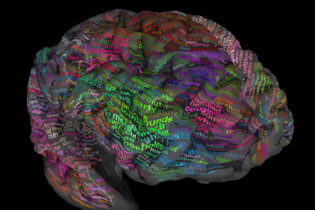 The Brain Dictionary