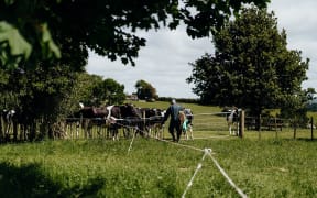 Ruminant BioTech aims to help solve the global methane emissions problem caused by ruminant animals.