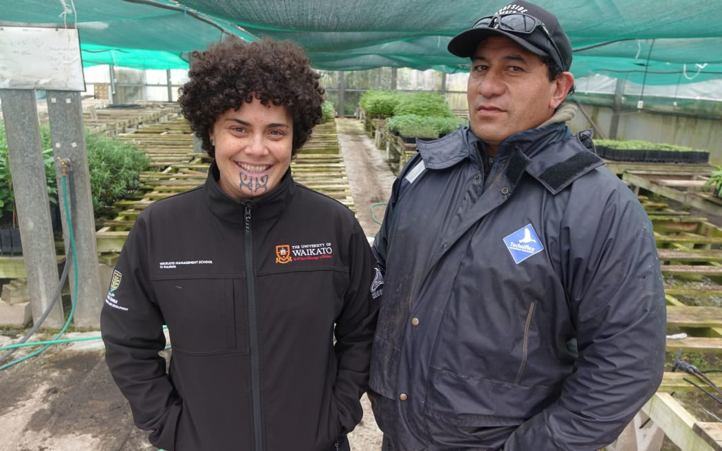 Leoni Matoe and Pete Abraham check on the puha at the Kaitahi plant nursery in Patea.