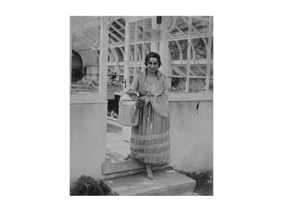 4plv3bo gallery image 12441