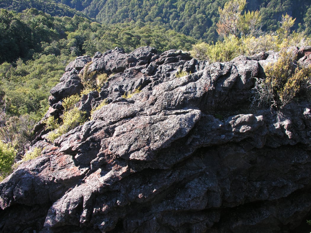 A magnesite outcrop in the Cobb Valley.