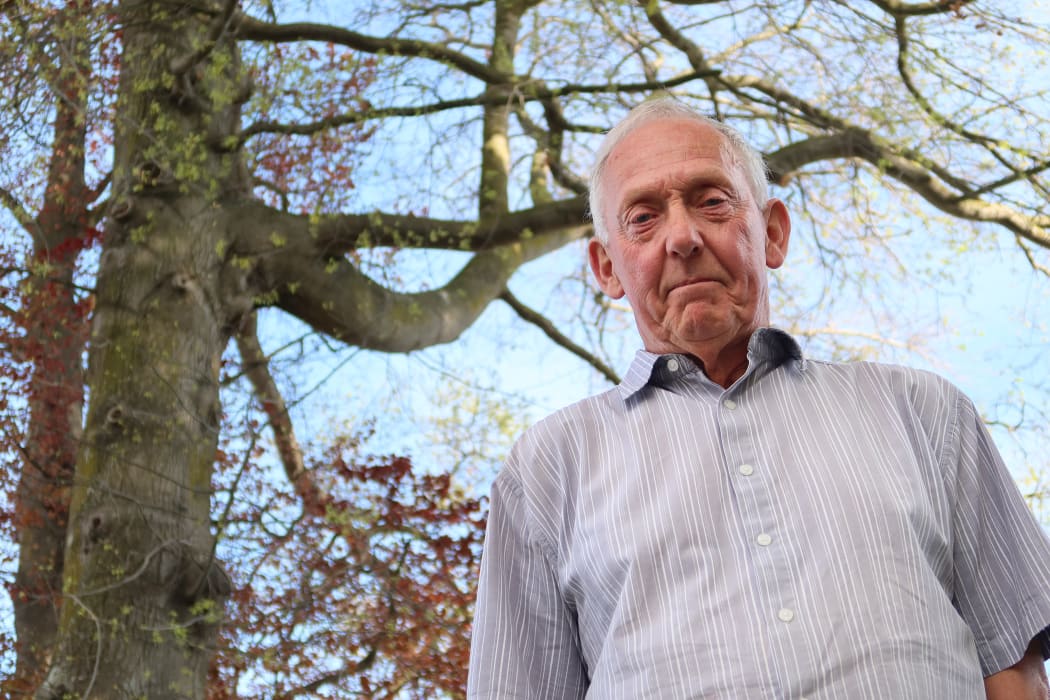 Blenheim resident Tony Hay says he lives in a “kill zone” beneath three 30-metre trees.