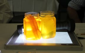 Honey Jar