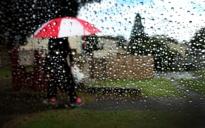 Bad weather in Auckland. Woman walks with an umbrella under the rain