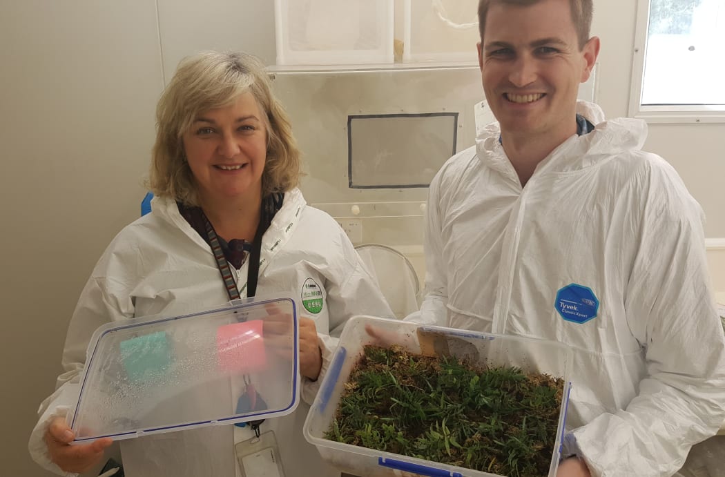 Entomologists Toni Withers and Andrew Pugh holding a container that is home to a number of native subalpine beetles that are kept at cool temperatures in a fridge.