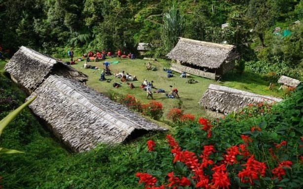 Papua New Guinea's Kokoda Track reopens today | RNZ