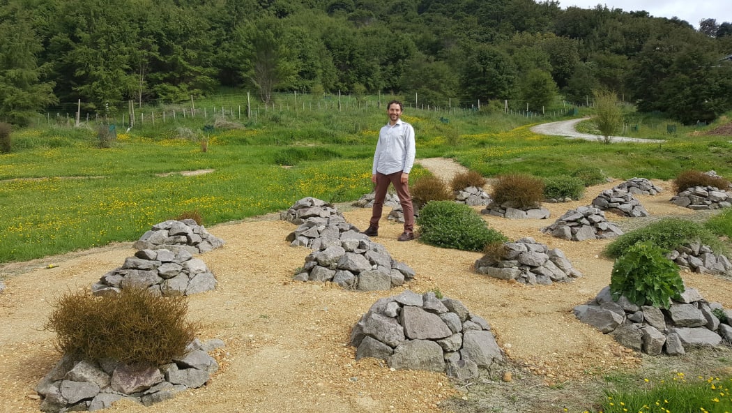 Malcolm Rutherford, curator of the 1769 Garden, stands amongst rock mounds arranged in a quincunx layout. Each mound is home to a rare or unusual plant, including short-lived herbs.
