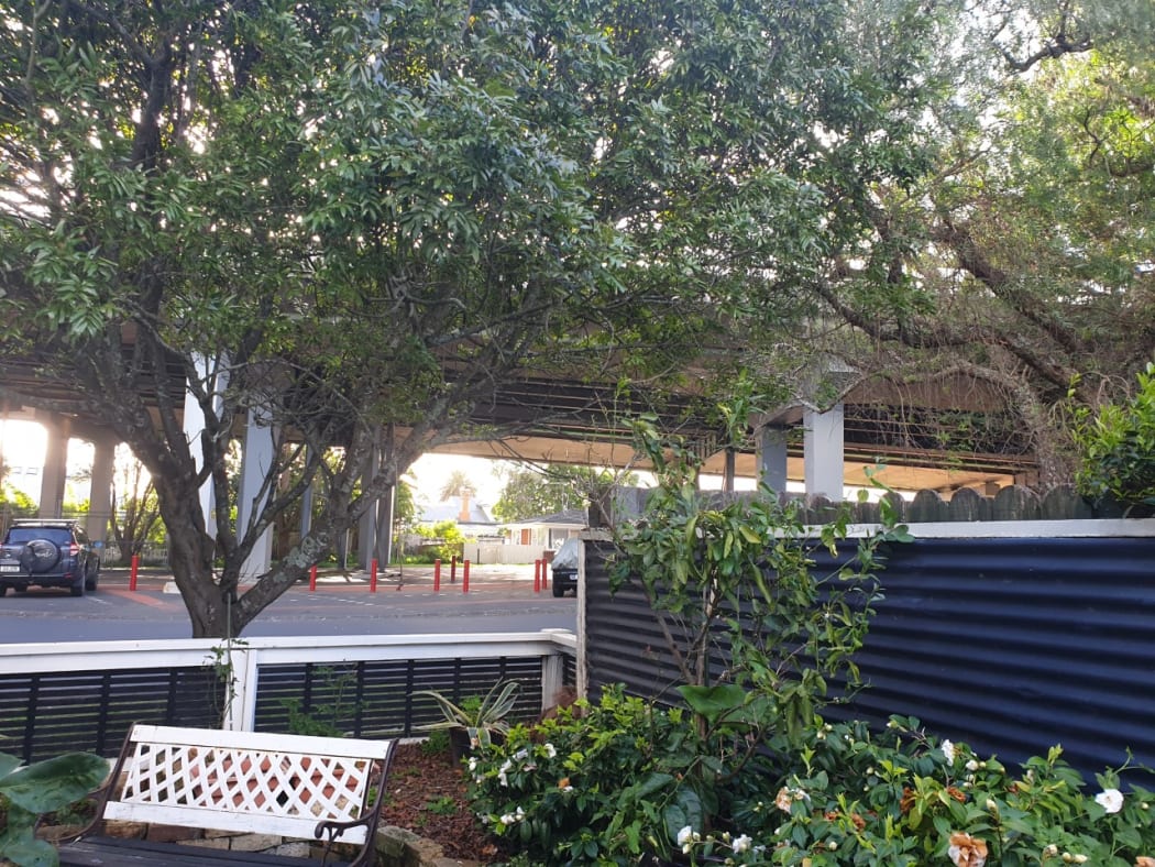 Auckland Harbour Bridge as seen from the Holloways' backyard.
