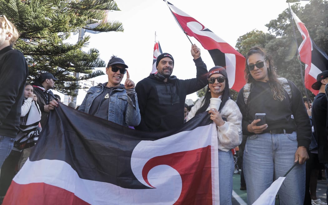 Protestors gather at the Wellington Train Station before making their way to Parliament