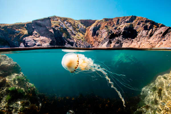 "If we don't take action, the collapse of our civilisations and the extinction of much of the natural world is on the horizon," Attenborough told a 2018 UN climate summit.