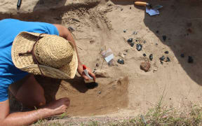 A University of Auckland archaeology student working at an excavation site on Ahuahu/Great Mercury Island during a University field research project.