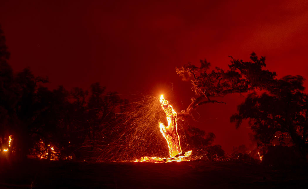 In this long exposure photograph, embers fly off a burning tree during the Hennessey fire in the Spanish Flat area of Napa, California on 18 August, 2020.