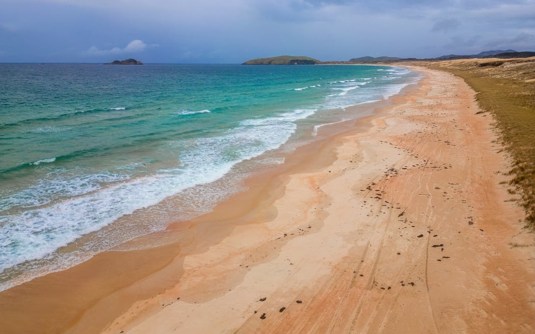 Henderson Bay beach