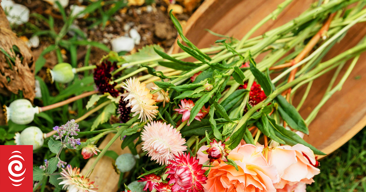 The art of growing cut flowers | RNZ