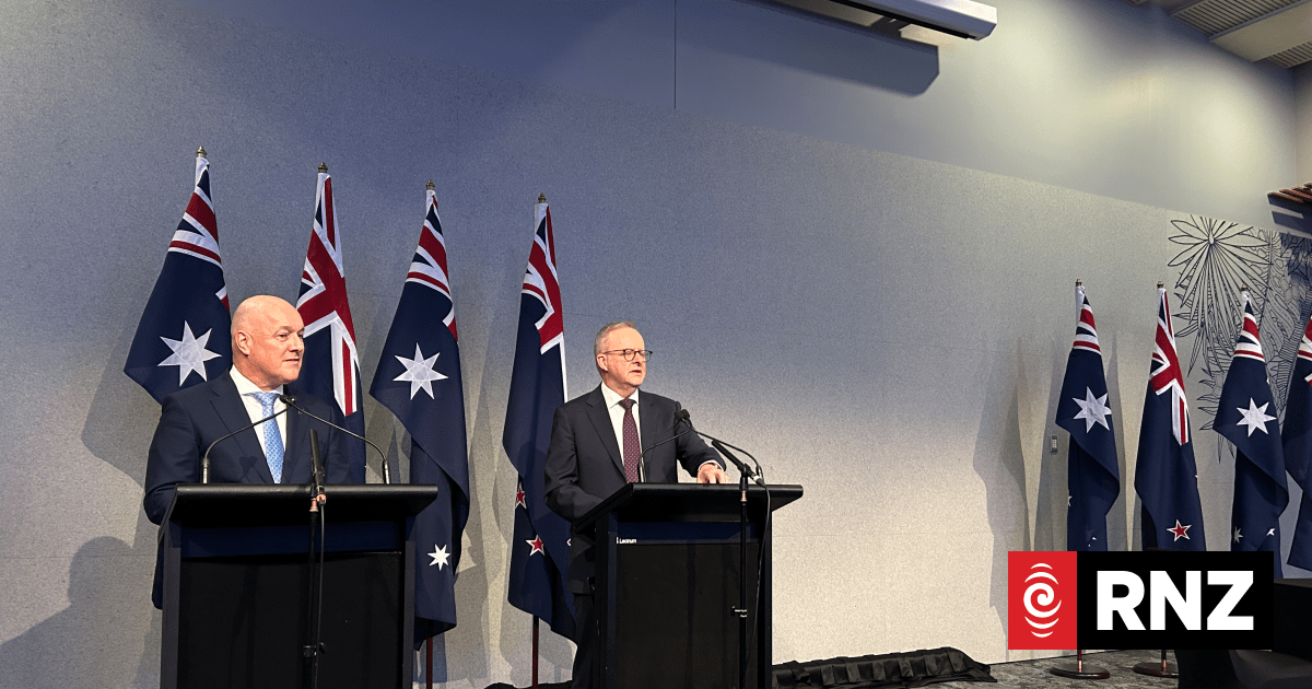 Watch: Christopher Luxon, Australian PM Anthony Albanese speak to media following annual meeting