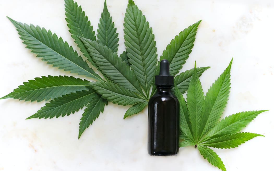 cannabis leaves and oil