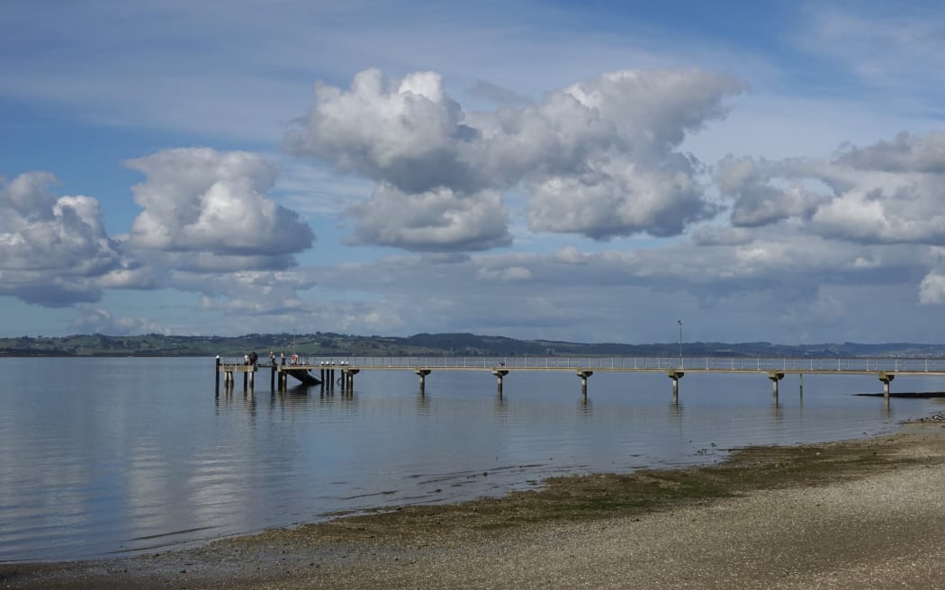 Kaipara Harbour