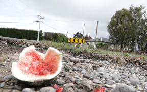 A watermelon lies on road in Twyford in Hawke's Bay