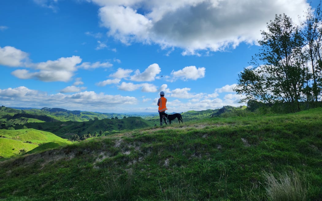 A young man stands on the side of a hill on a fine day with his dog looking over green paddocks
