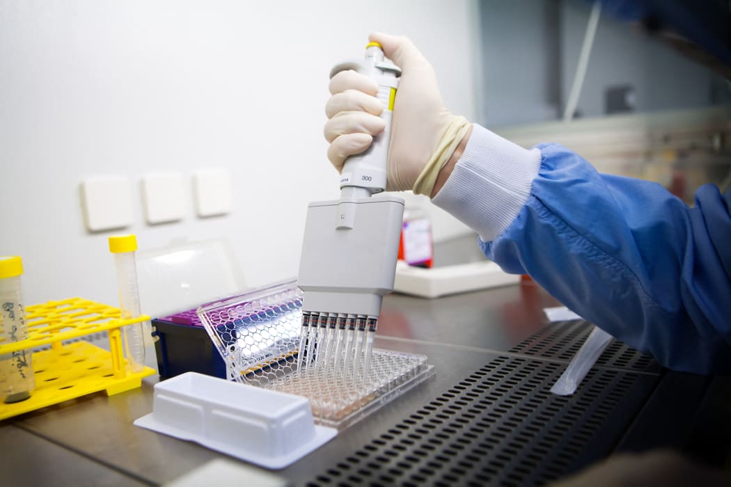 Cancer research. Laboratory developing therapeutic vaccines for the treatment of lung cancer by stimulating the immune system.