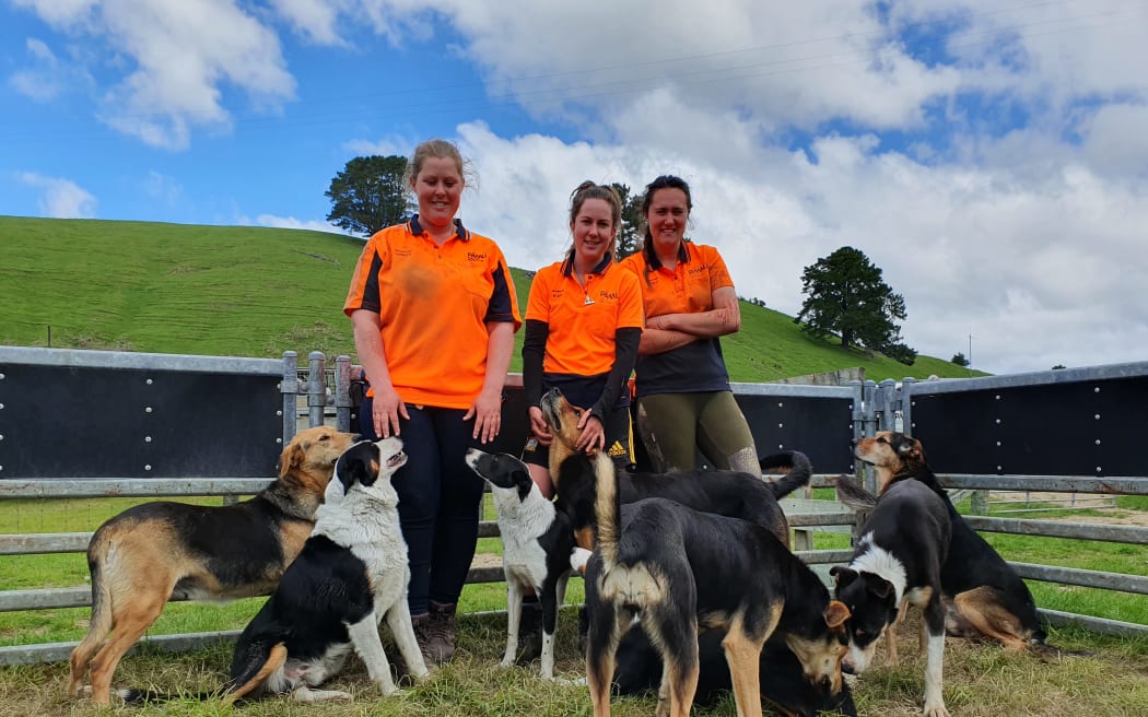Shepherds Lesley Pollock, Kate White an Kacey Johnson on Aratiatia Farm near Taupo