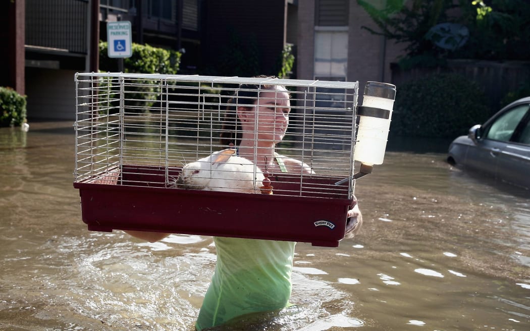 A rabbit is carried to a rescue boat after it was found floating in floodwater in Houston, Texas.