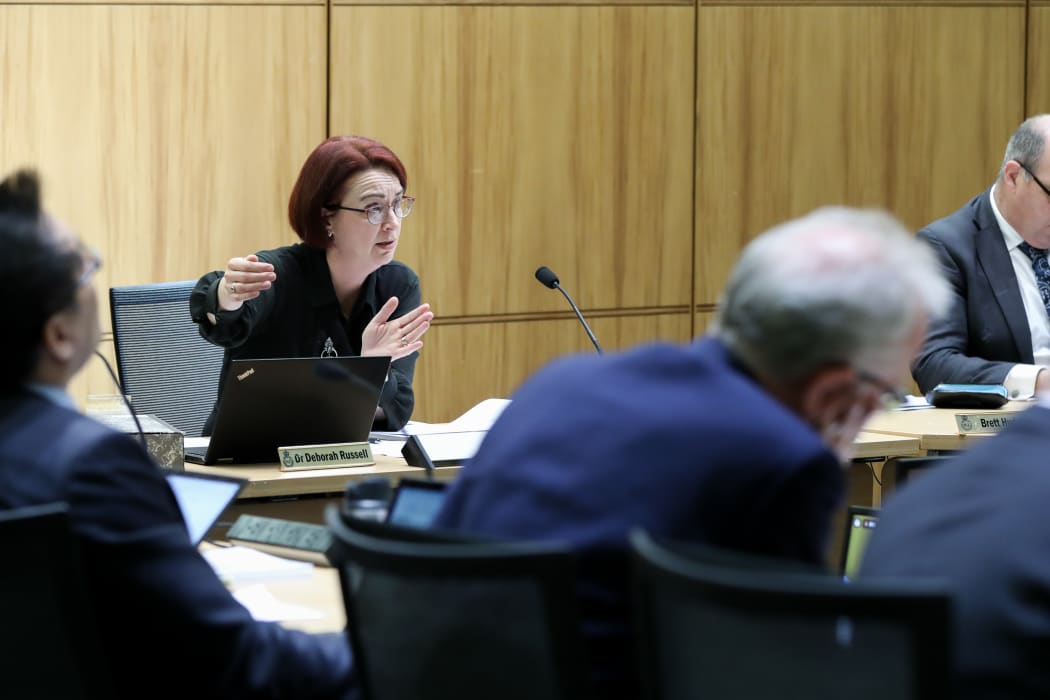 Labour MP Deborah Russell, Chairing of the Finance and Expenditure Committee explains an economic principle