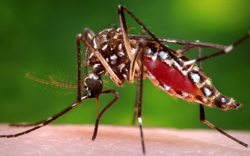 Experts say climate change will create more areas where mosquitoes can spread dengue virus.