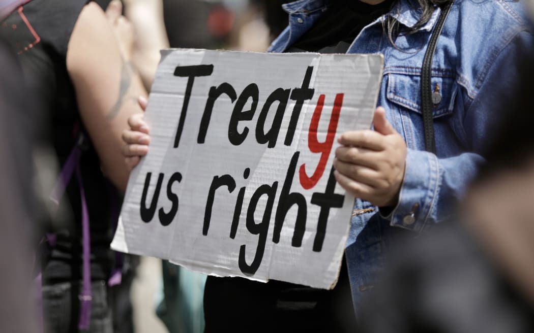 The hīkoi protesting against the Treaty Principles Bill in Wellington on 19 November 2024.
