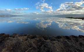 The Wairarapa Moana wetlands in south Wairarapa