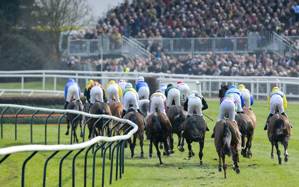 Cheltenham Gold Cup.