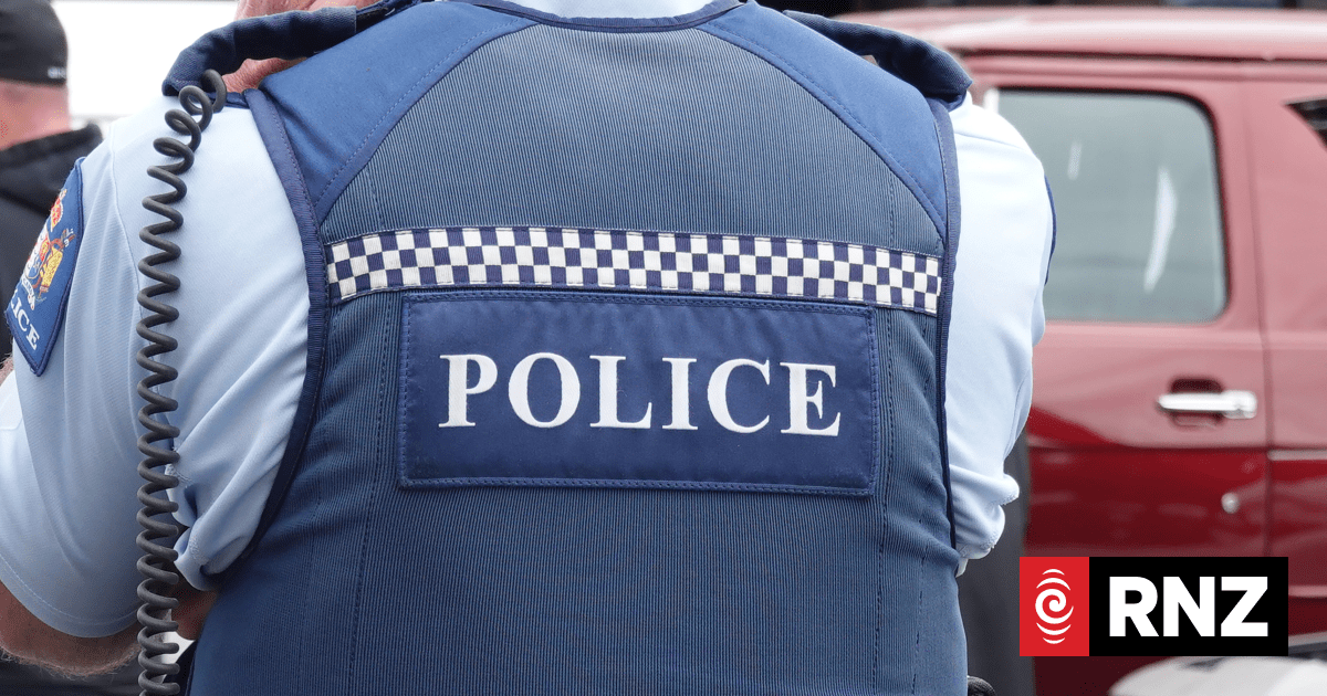 Officers who fired Glock and sponge rounds at fleeing man 'did excellent job' - police - Vimarsana News