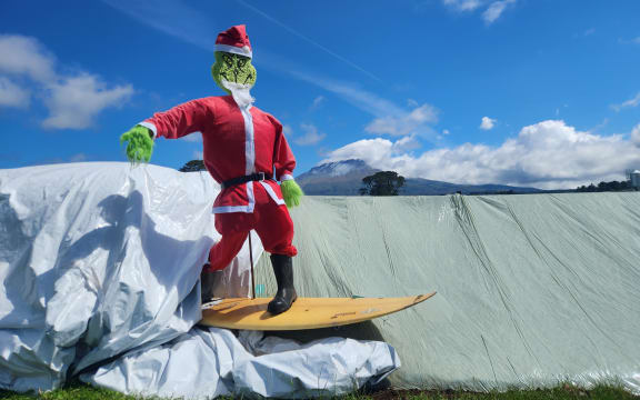 The Grinch surfing through the paddocks in Taranaki.